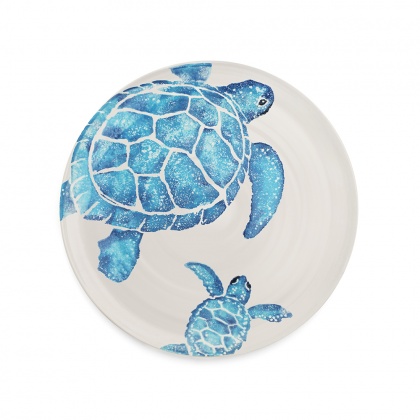 Dinner Plate Turtle: click to enlarge