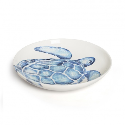 Supper Bowl Turtle: click to enlarge