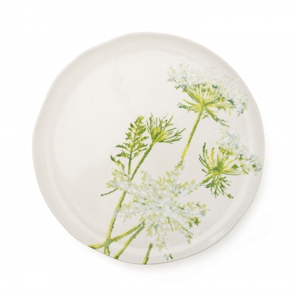 Dinner Plate Cow Parsley: click to enlarge