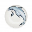 Supper Bowl Dolphins