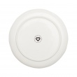 Dinner Plate