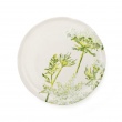 Side Plate Cow Parsley